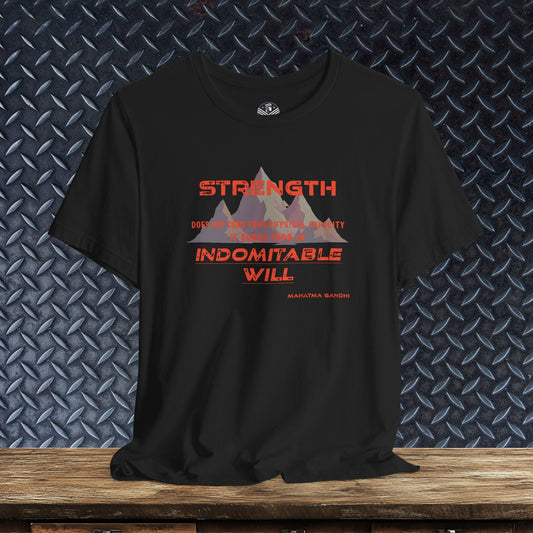 Indomitable Will